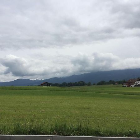 Studio mit Alpenblick Grossweil Esterno foto